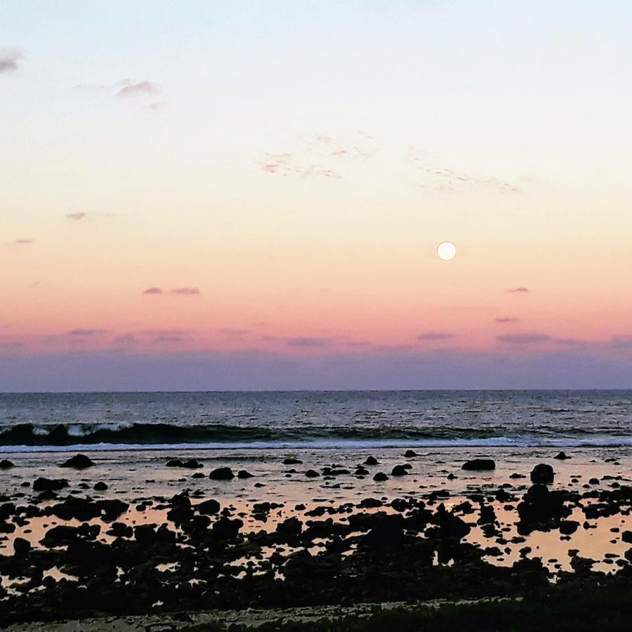 Herons Reef Holiday Apartments Rarotonga Exteriör bild